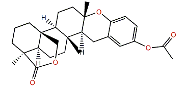 Strongylophorine 11